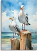 Muralo Leinwandbild CANVAS MÖWEN Über Dem Meer Natur Br. 20 Produktbild-Vorschau 6