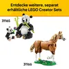 LEGO Creator Divoké zvieratá: Tropický tukan, Stavebnica, 7 Náhľad obrázku produktu 15