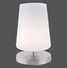 Stolní LED lampa PAUL NEUHAUS 4146-55 ocel, G9, 3 W, 235 Náhled obrázku produktu 1