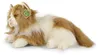 Plüsch-Perserkatze 30 cm, umweltfreundlich Produktbild-Vorschau 5