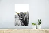 MuchoWow® Poster Schottisches Hochlandrind - Gras - Gold Produktbild-Vorschau 5