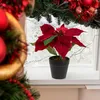 Betlémská hvězda Umělá sametová v květináči Poinsettia Náhled obrázku produktu 8