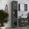 Badschrank Vicco Malte Grau 30 x 171.5 cm, Model 54264 Produktbild-Vorschau 3