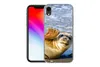 MuchoWow® Handyhülle Schutzhülle Hülle für iPhone XR Robbe Produktbild-Vorschau 2