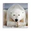 DEQORI Glasbild Echtglas 30x30 cm 'Polare Stille' Wandbild Produktbild-Vorschau 2
