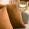 Blumtal Lot de 2 Housses de coussin 30x50 cm Chenille - Voir les images du produit 2