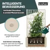 Kreher® XL Gartenspalier 'Ethica' mit Pflanzkübel Breit Produktbild-Vorschau 5