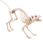 Scheletro di gatto - Decorazione horror per Halloween Anteprima dell’immagine prodotto 2