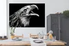 MuchoWow® Poster Adler - Porträt - Raubvögel - Schwarz - Produktbild-Vorschau 3