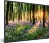 MuchoWow® Gerahmtes Poster Wald - Blumen - Lavendel - Sonne Produktbild-Vorschau 1