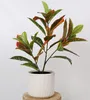 Künstliche Bume im Topf, Gummibaum 58 cm Produktbild-Vorschau 5