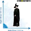 A cardboard cutout of Professor Minerva McGonagall from Harry Potter, with height and width measurements. Produktbild-Vorschau