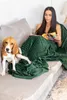 A woman is reading a magazine on a couch, covered by a green blanket, with a beagle dog sitting next to her. Náhled obrázku produktu