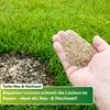 Greenyp® Turbo Nachsaat I RSM Rasensamen Nachsaat 3.2 I Produktbild-Vorschau 5