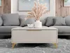 A modern living room scene with a couch and coffee table. Náhľad obrázku produktu