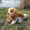 Plyšový španiel King Charles 28 cm Ekologický Náhľad obrázku produktu 7