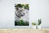 MuchoWow® Poster Tiger - Weiß - Sand 20x30 cm - Papierdruck Produktbild-Vorschau 5