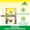 Neudorff Nützlinge gegen Dickmaulrüssler – 5 Mio. Produktbild-Vorschau 3