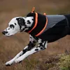 Non-stop dogwear Hundejacke Trekking Fleece Jacket Produktbild-Vorschau 5