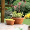 Mísa Terra terakota 40 cm Náhled obrázku produktu 5