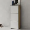 doporro Meuble à Chaussures Chêne Clair et Blanc Mat Voir les images du produit 1