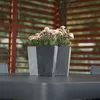 Three planters with pink flowers on a table, with a wooden slatted background. Produktbild-Vorschau