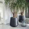 Prosperplast Blumentopf Heos 51l, Anthrazit Kunststoff, Produktbild-Vorschau 5