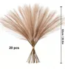 Erba della pampa artificiale 20 pezzi fronde di canna Anteprima dell’immagine prodotto 5