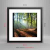 Gerahmtes Poster - Schwarzer Rahmen - Wald Blätter Sonne - Produktbild-Vorschau 5