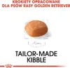 ROYAL CANIN Golden Retriever Junior - Welpe - Golden Produktbild-Vorschau 7