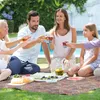 4FIZJO Picknickdecke 200 x 150 cm, isoliert, Produktbild-Vorschau 6