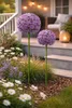 Allium Stecker Metall Ø16+20cm Gartenstecker lila 2erSet Produktbild-Vorschau 2