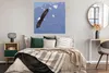 MuchoWow® Poster Amerikanischer Seeadler - Adler - Fliegen Produktbild-Vorschau 4