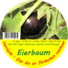 SAFLAX Garden to go - Melanzana - 20 semi - Solanum Anteprima dell’immagine prodotto 7