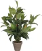 Sztuczna roślina Mica Decorations Hosta - H65 x Ø40 cm - Podgląd zdjęcia produktu 1