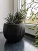 Kvetináč s vložkou BETON BOWL 23,8 cm - čierny Náhľad obrázku produktu 14