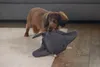 Beeztees Minus One Rochen – Hundespielzeug, Fleece Produktbild-Vorschau 3