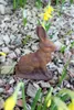 Schwere Garten Deko Tierfigur aus Rost Metall, 18 cm hoch, Produktbild-Vorschau 1