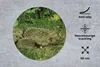 MuchoWow® Mauspad Mousepad Igel - Gras - Baby 50x50 cm - Produktbild-Vorschau 2