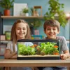 Kruger Meier Plant Meadow - roślinka sztuczna Podgląd zdjęcia produktu 4