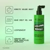 Redken Volume Boost Root Lifting Spray 250 ml Produktbild-Vorschau 3