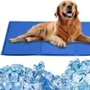 Golden Retriever Hund liegt auf einer blauen Haustier-Kühlmatte, mit einem Stapel Eiswürfel darunter Náhled obrázku produktu