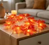 Řetěz světel na podzim, 6 metrů, 40 LED diod, teplá bílá Náhled obrázku produktu 2