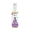 Baldini Buddhaduft Aura & Bodyspray 30 ml Produktbild-Vorschau 1