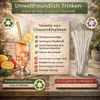 24 Glasstrohhalme +2 Bürsten Glashalme Glas Trinkhalme Produktbild-Vorschau 8