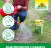 Neudorff Rasenreparatur LückenLos 2,5 kg für 32 Lücken Produktbild-Vorschau 6