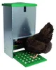 Feedomatic Distributeur automatique d'aliments avec Voir les images du produit 4