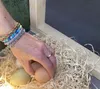 Hühnerstall XL EZ Chicken Home Rot, 3,78 m² - Wetterfest, Produktbild-Vorschau 23