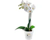 elho green basics Orchidee 15cm - transparent Produktbild-Vorschau 5