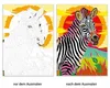 Ravensburger Malen nach Zahlen Animal Dreams - 32 Motive Produktbild-Vorschau 4